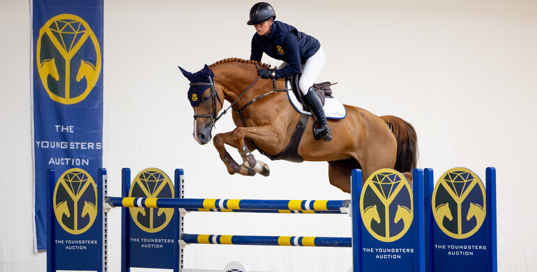 The Youngsters Auction: Trials from Monday, October 7th to Monday, October 14th