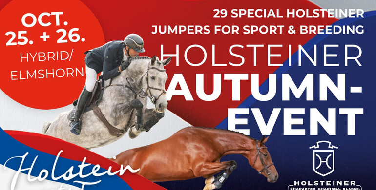 Planning ahead: 30 bright prospects at the Holsteiner Elite Auction