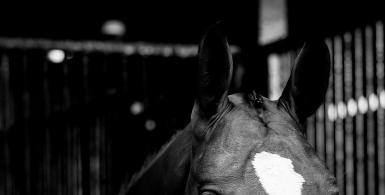 IJRC shares its views on the FEI Jumping Rules revision – “The IJRC considers the welfare, health, and respect of horses paramount”