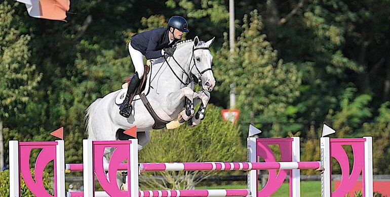 Ladies des Forêts: Invest in champions of tomorrow with Zirocco Blue VDL's elite bloodline