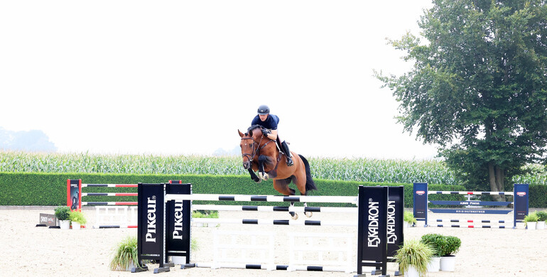 Holger Hetzel Sport Horse Sales presents: All Right