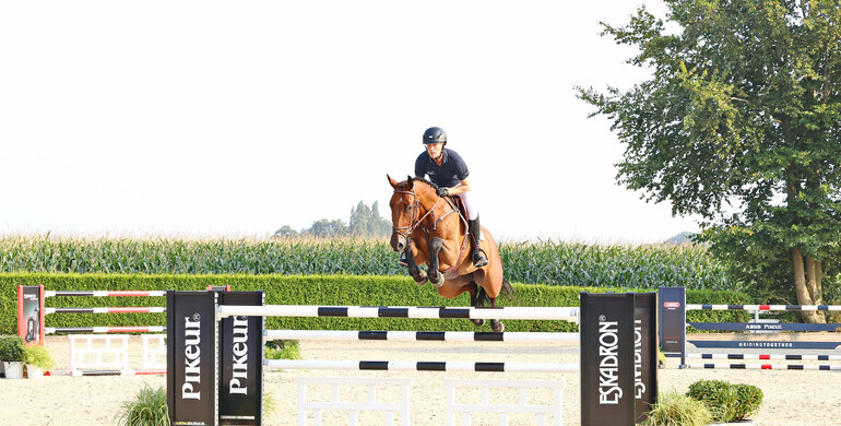 Holger Hetzel Sport Horse Sales presents: Follow Me