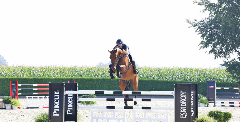 Holger Hetzel Sport Horse Sales presents: Frozen