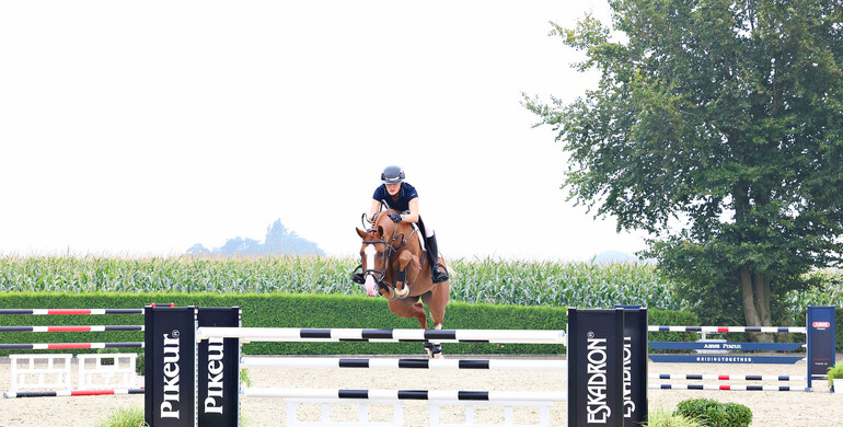 Holger Hetzel Sport Horse Sales presents: Gipfelsturm
