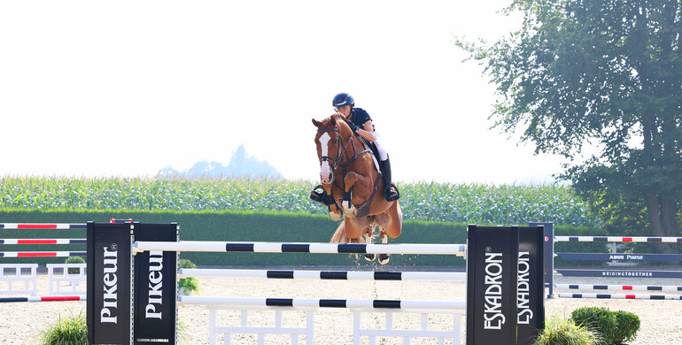 Holger Hetzel Sport Horse Sales presents: Good Vibes