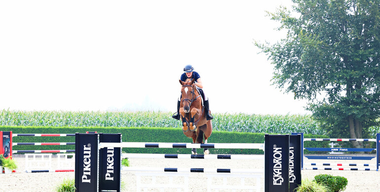 Holger Hetzel Sport Horse Sales presents: Sweet Dream