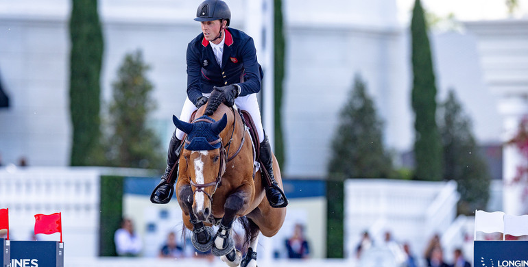 From youngster to international Grand Prix horse: Point Break