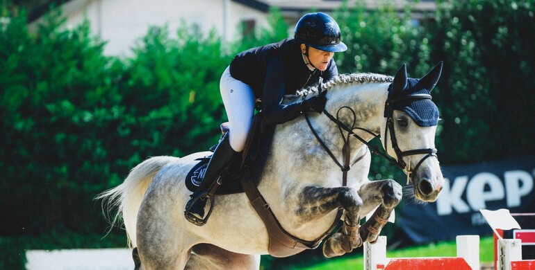 Exclusive Sales Extra Horses: An exceptional collection for the 4th edition!
