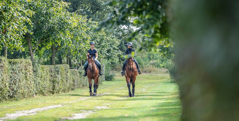 Overijssel, Netherlands: Stable block & apartment for rent in professional facility