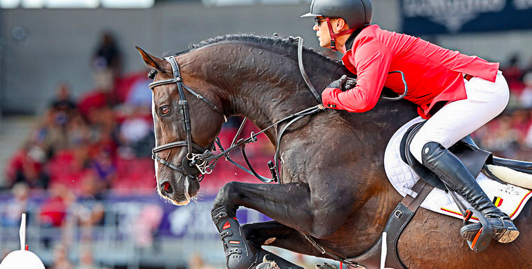 Jérôme Guery's Quel Homme de Hus retires from the sport