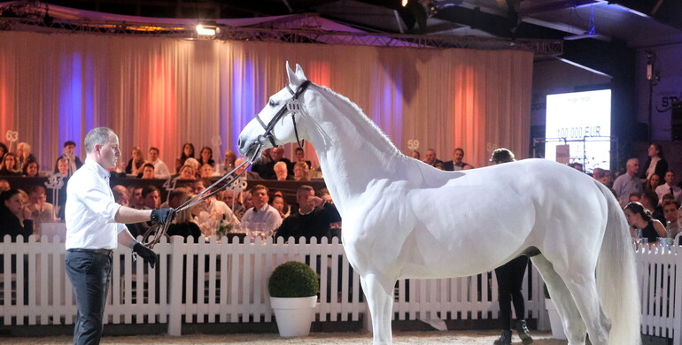 Top horses for top riders at Holger Hetzel's 19th International Sport Horse Sales
