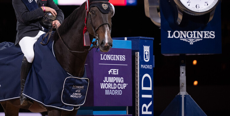 The 2025-edition of Madrid Horse Week cancelled