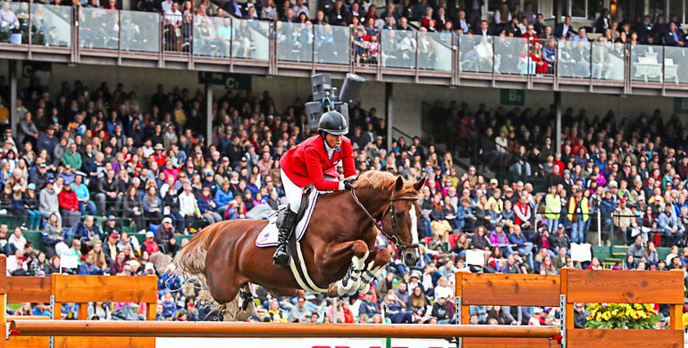 Darry Lou joins Studfarm Zangersheide as remarkable sports career comes to a close