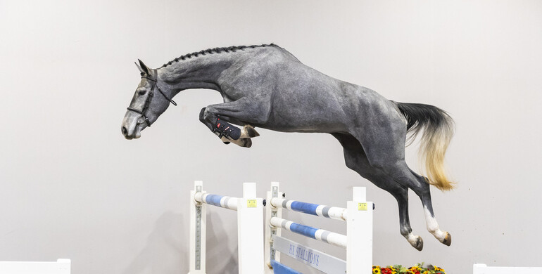Stal Hendrix proudly presents fifth edition of HX Auctions