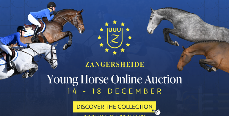 Zangersheide Young Horse Online Auction