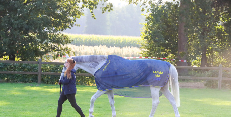 That Special Bond – with Madelene Nord: