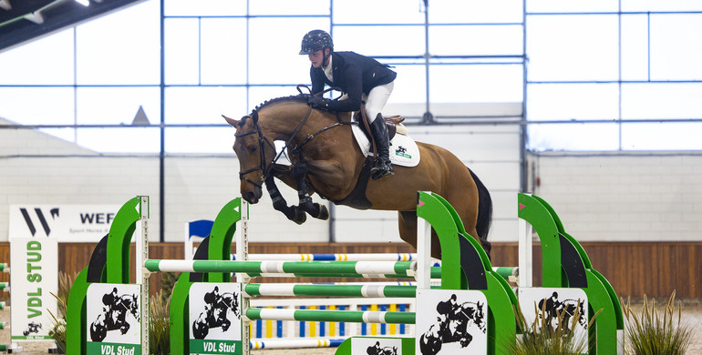 WEF Sport Horse Auction featuring VDL Stud brings elite European talent to Wellington