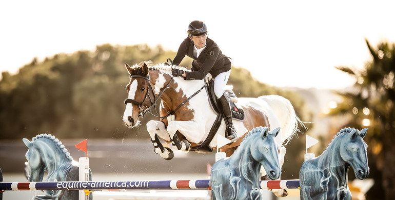 Gerrit Nieberg on Ping Pong van de Lentamel: “I believe that we are slowly getting there”