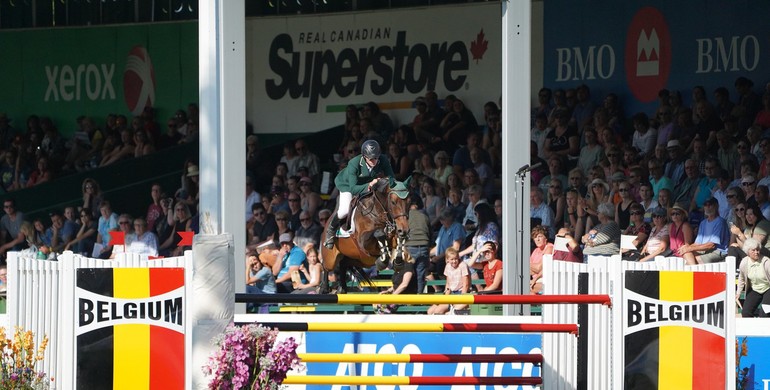 VDL Stud starts the final countdown to the WEF Sport Horse Auction!