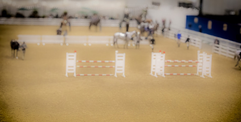 The R-haltenswert movement and the organizers of the FEI World Cup Finals 2025 in Basel are launching a pilot project for the welfare of horses