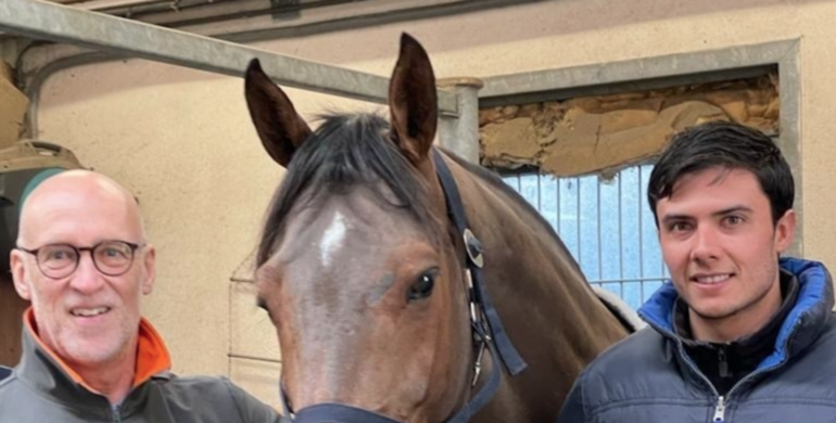 Managing high-performance show jumpers and the role of Equine 74 Gastric