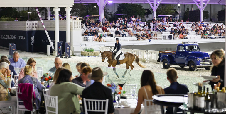 The World Sport Horse Sales gets ready for the 3rd edition of their USA auction at WEC