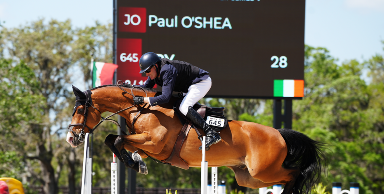 Paul O’Shea and Spy claim the top spot in the $100,000 Dutta Corporation CSI2* Grand Prix