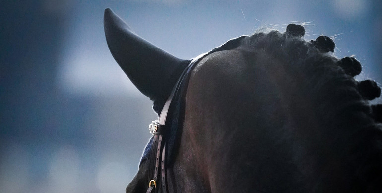 Proposed modifications to the FEI Veterinary Regulations for 2026 published