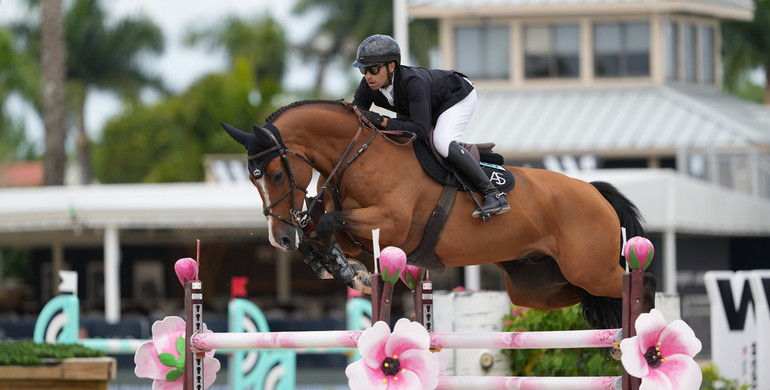 Abdel Saïd punches Grand Prix ticket in Bainbridge CSI5* 1.50m Classic