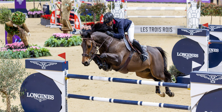 From youngster to international Grand Prix horse: Donatello d’Auge