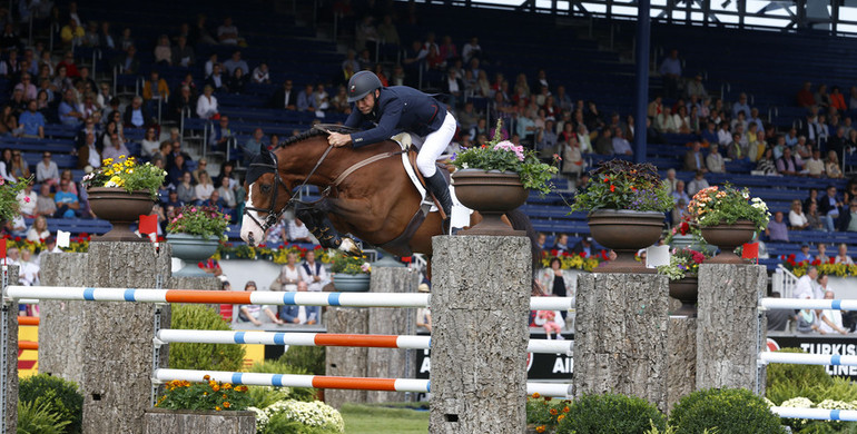 Utamaro d'Ecaussinnes 2015 Horse of the Year in Belgium