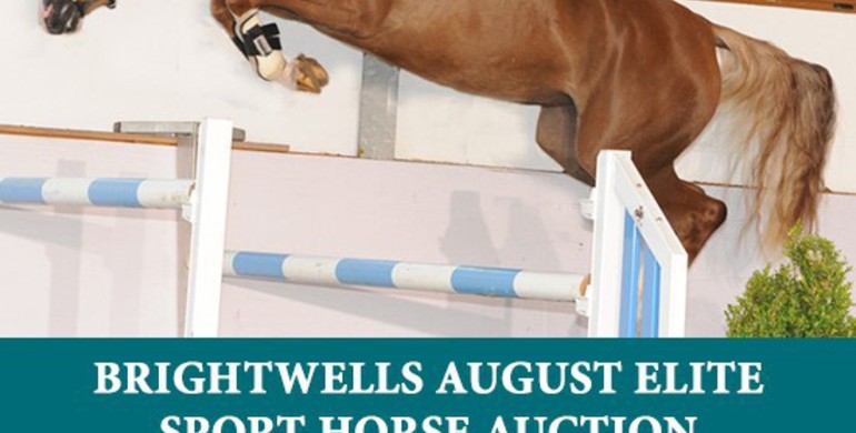 Advertisement; Brightwells Elite August Auction 21st & 22nd August