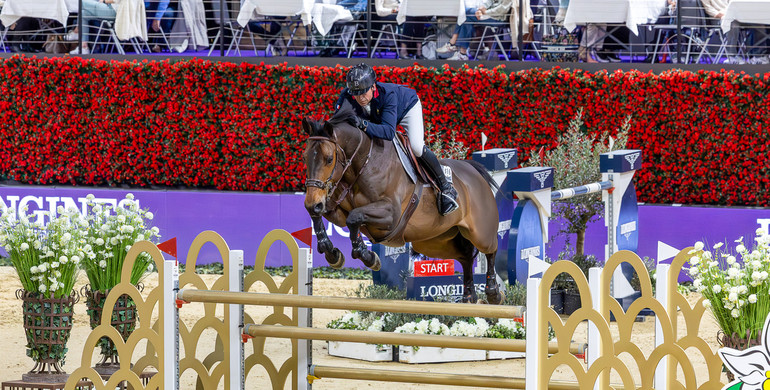 Donatello d’Auge back on top of the WBFSH Breeder Ranking