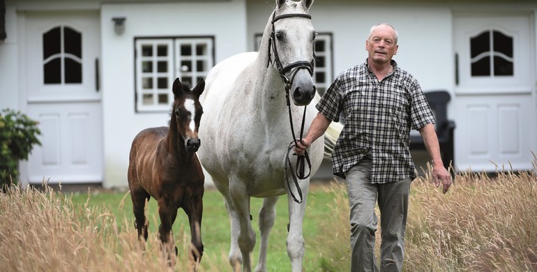 Advertisement; International Show Jumping Careers Begin in Holstein