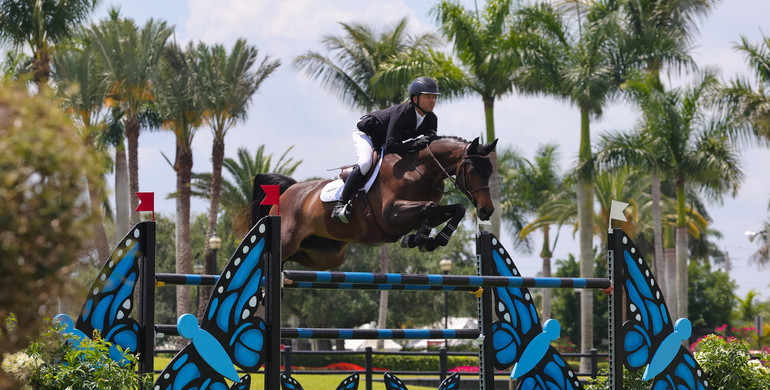 Kent Farrington sails to win in Arthramid Vet CSI3* Qualifier during Spring Series at Wellington International