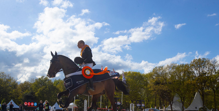 Foal Auction Prinsjesdag: Sport meets breeding with exclusive live auction at Dutch Showjumping Championships