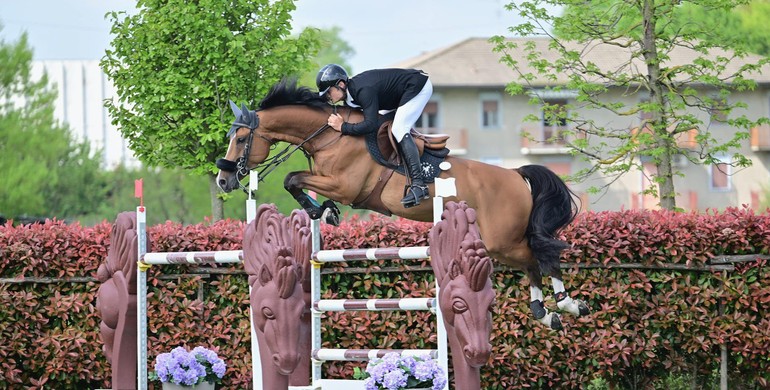 This weekend's three- and two-star Grand Prix winners