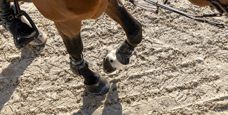 What's on in the jumping world – Week 19, 2025