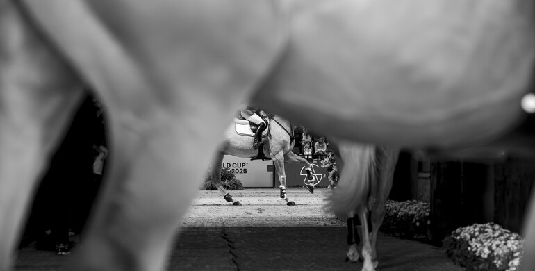 FEI publishes first draft of proposed rule changes for 2026