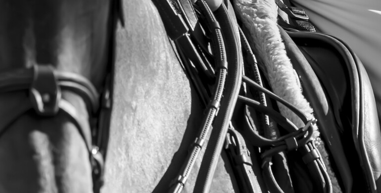 FEI to host Jumping Stakeholders Forum on tack, equipment and their future regulation at FEI-sanctioned events