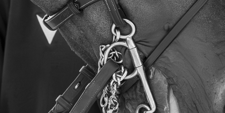 R-Haltenswert’s report from the FEI World Cup™ Finals 2025: “Existing rules are not sufficiently implemented in the interests of the horses”