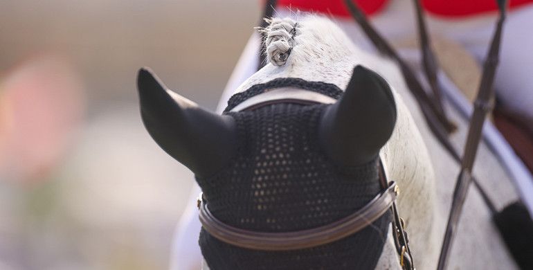 What's on in the jumping world – Week 20, 2025