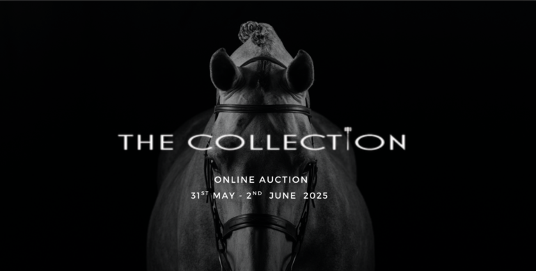 The next Collection Auction is here