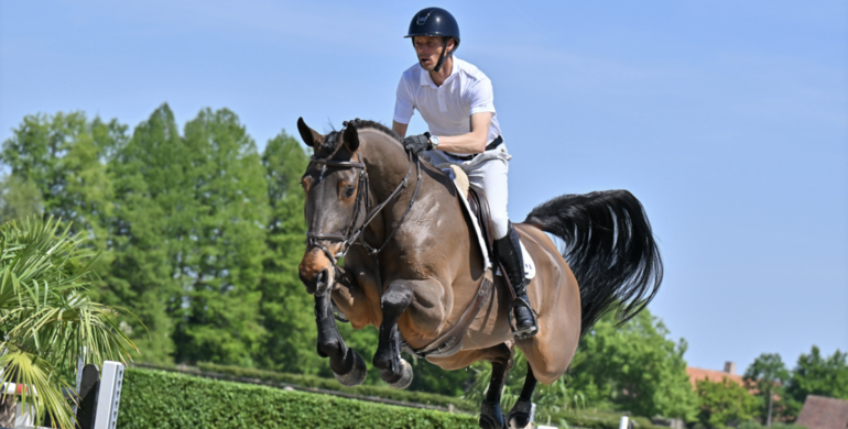 Unbridled jumping talents and stunning foals mark 25th anniversary collection for BWFA!