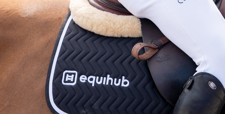 Equihub introduces a new and innovative stable management platform