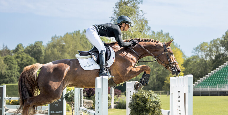 The Brilliance Horse Auction Co. launches it's first summer auction, coming soon during the Agria Royal International Horse Show