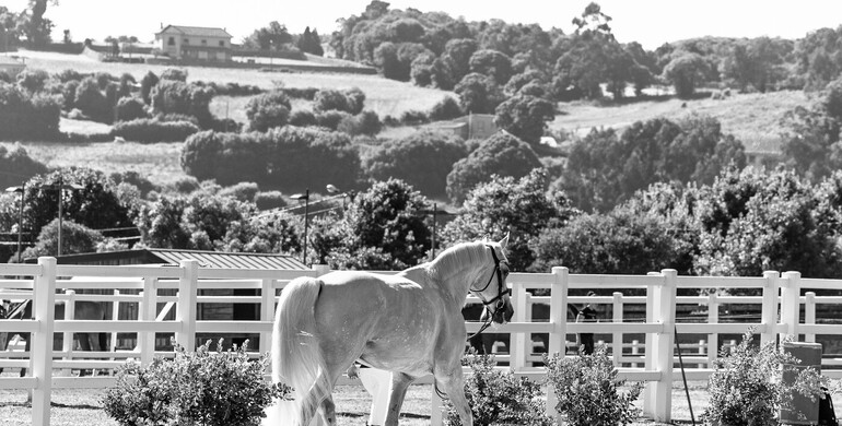 The horses and riders for CSI4* Casas Novas 2026