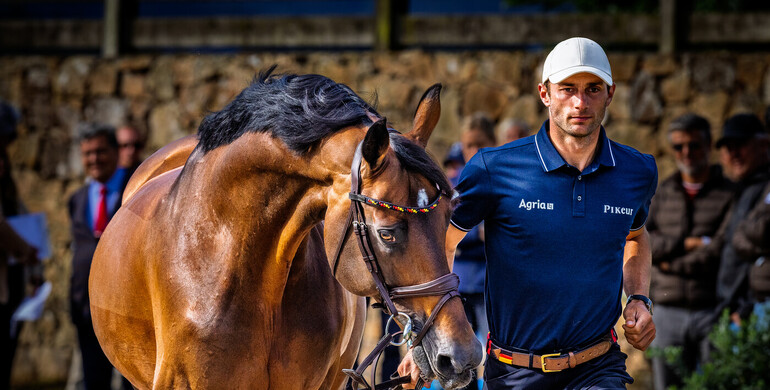 All horses accepted at the second horse inspection in A Coruña