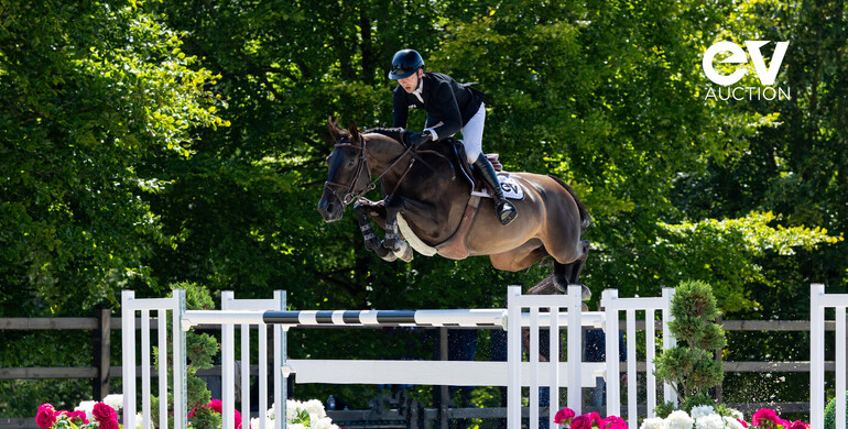 Equinia presents 'EQUESTRIAN VALLEY AUCTION', an elite performers and hunter prospects auction