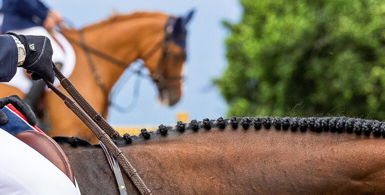 What's on in the jumping world – Week 33, 2025